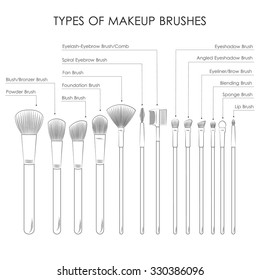 infographic. Types of  make-up brushes. Sketch