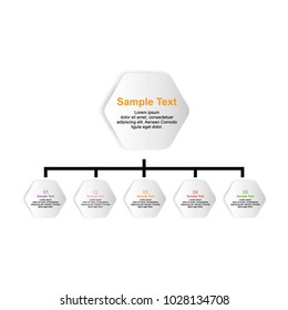 infographic vector art 3d hexagon