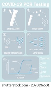 Infographic vector explaining the steps of PCR testing for COVID-19