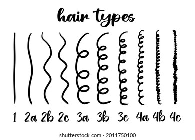Infographic vector illustration with different hair types - straight, wavy, curly, coily. Curly girl method. Hair type guide with labels. Curl patterns classification.