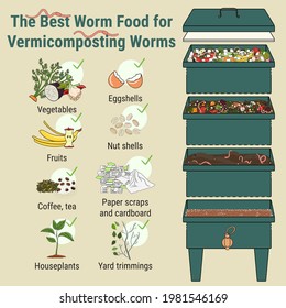 Infographic of vermicomposting. What to compost. Worm composting. Recycling organic waste, compost. Sustainable living, zero waste concept. Hand drawn vector illustration. 