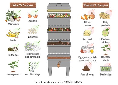 Infographic of vermicomposting. What to or not to compost. Worm composting. Recycling organic waste, compost. Sustainable living, zero waste concept. Hand drawn vector illustration. 