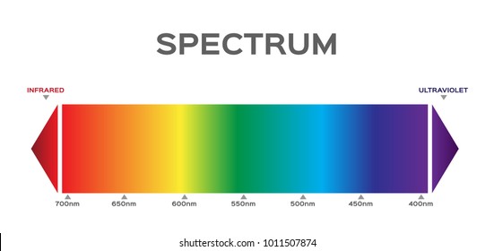 Infographic Of Visible Spectrum Color.  Sunlight Color