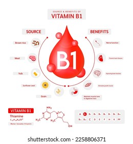 Infographic vitamin B1 source and benefits. Fruit vegetable food icon healthy eat. Multivitamins minerals complex supplement. Banner poster for ad in pharmacy or clinic. Vector EPS10.