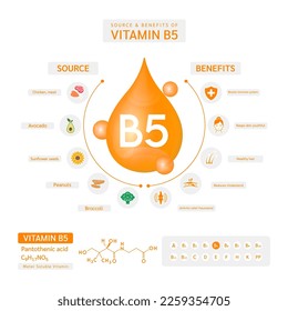 Infographic vitamin B5 source and benefits. Fruit vegetable food icon healthy eat. Multivitamins minerals complex supplement. Banner poster for ad in pharmacy or clinic. Vector EPS10.