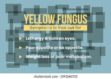 Infographic of Yellow Fungus disease symptoms typography poster, banner, and notice vector design. 