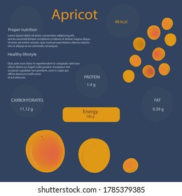 Infographics about the benefits of apricot for the human body. Useful properties and calorie content. Healthy food concept.