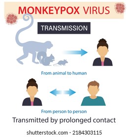 Infographics about monkey pox. Infection, spread of monkeypox disease. Flat vector illustration.