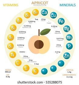 Infographics about nutrients in apricot. Vector illustration