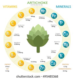 Infographics about nutrients in artichoke.  Vector illustration