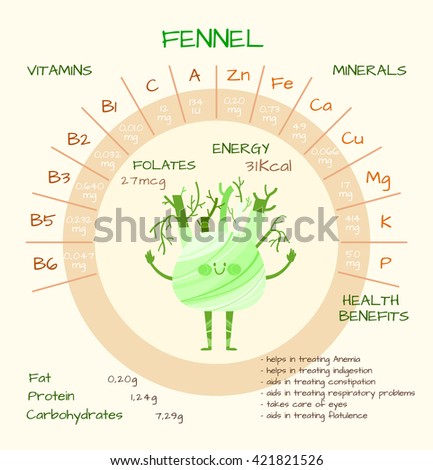 Infographics about nutrients in fennel. Vector illustration of vitamins, vegetables, health food, nutrients, diet. Vitamins and minerals. Health benefits of fennel. Funny character.