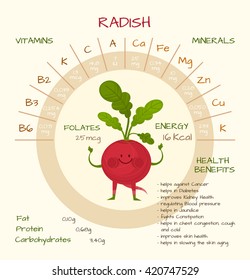 Infographics about nutrients in radish. Vector illustration about radish, vitamins, vegetables, healthy food, nutrients, diet. Vitamins and minerals. Health benefits of radish. Funny character.