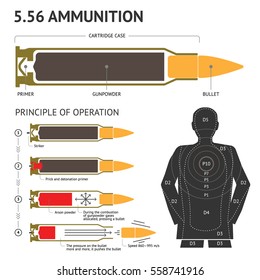 Infographics about the principle of bullet operation. Vector illustration