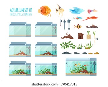 Infographics aquarium set. Underwater vector elements - equipment, fish, and Seaweed, stones isolated on white background. Thermometer, lamp and accessory for aquarium illustration