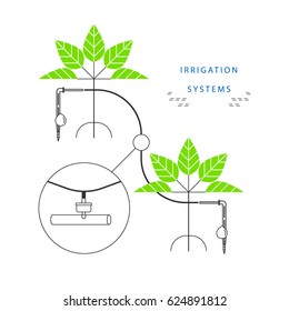 Infographics for automatic drip irrigation systems.