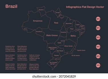 Infographics Brazil map outline, flat design, color blue vector