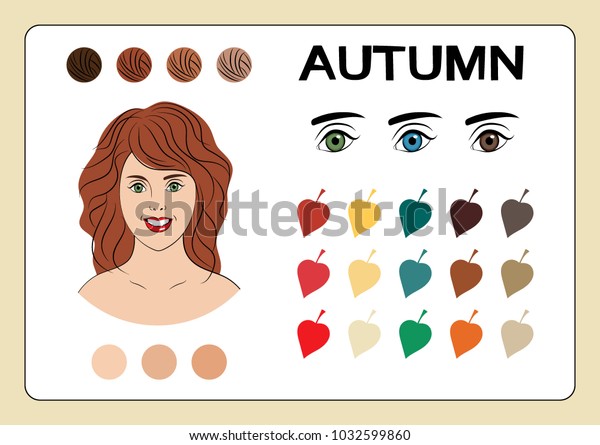 Infographics Classification Types Appearance One Four Stock Vector ...