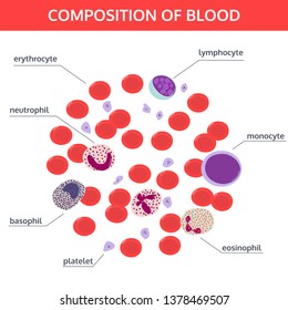 9,158 Human cell under microscope Images, Stock Photos & Vectors ...