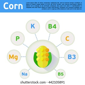 Infographics corn and vitamins in a flat style. Vector illustration.