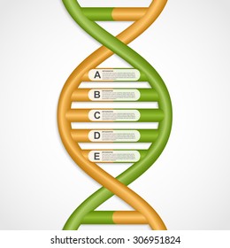 Infographics in the DNA helix form. Vector design element. 