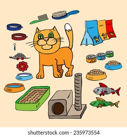 Infographics. Domestic cats and all that is necessary for the maintenance and care.