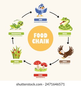 Infographics Of The Food Chain