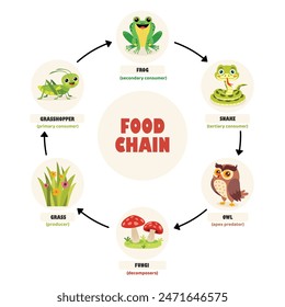 Infographics Of The Food Chain