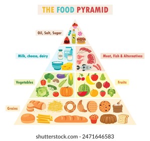 Infographics Of The Food Pyramid