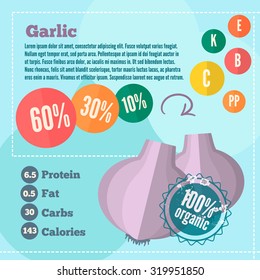 Infographics garlic and vitamins in flat style. Vector illustration for shops, market place and food banners.
