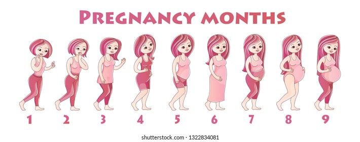 Infographics Girls Pregnancy By Monthmany Young Stock Vector (Royalty ...