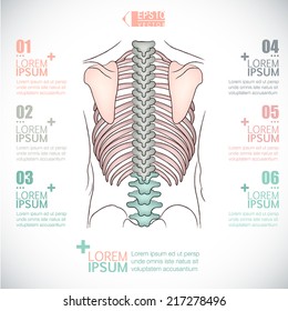 infographics of healthcare/backbone design 