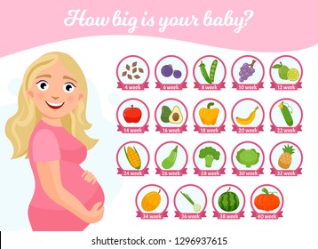 Infographics How Big Is Your Baby? What Is The Size Of The Baby And At Different Stages Of Pregnancy. Illustration Of Cute Pregnant Girl.