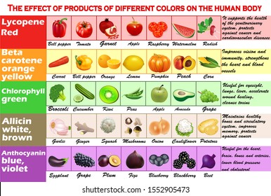 Infographics Illustration Set Effect Products Different Stock Vector ...