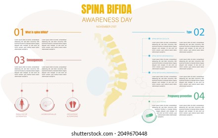 Infographics for the international day of spina bifida,what is spina bifida,types of spina bifida,consequences and prevention in pregnancy.