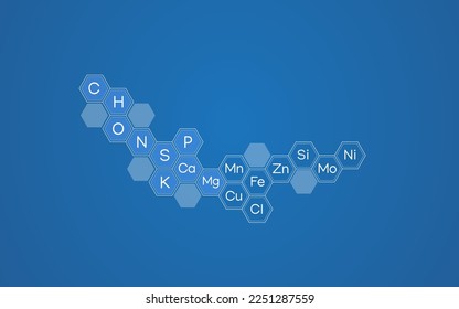 Infographics of macro elements and micro elements arranged in a hexagonal shape