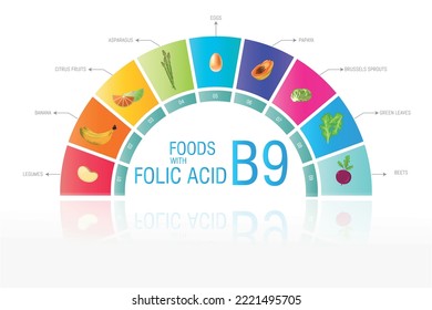 Infographics on Foods containing folic acid