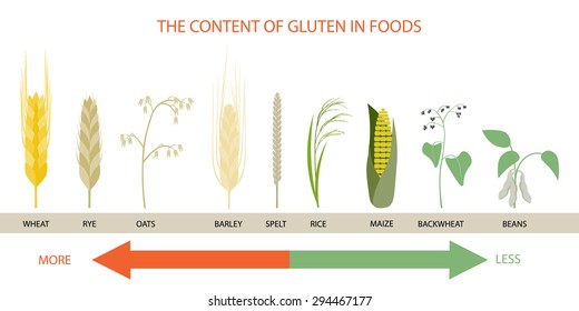 Infographics on the levels of gluten in foods.