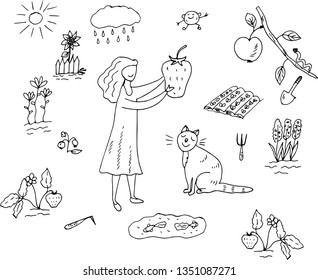 Infographics on the theme of growing plants in the garden. Vector illustration.