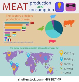 Infographics Production Consumption Meat Stock Vector (Royalty Free ...