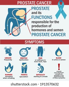 Infographics Of Prostate Cancer Illustration. Prostate Cancer Symptoms. Medical Icon Symptoms Of Prostatitis.