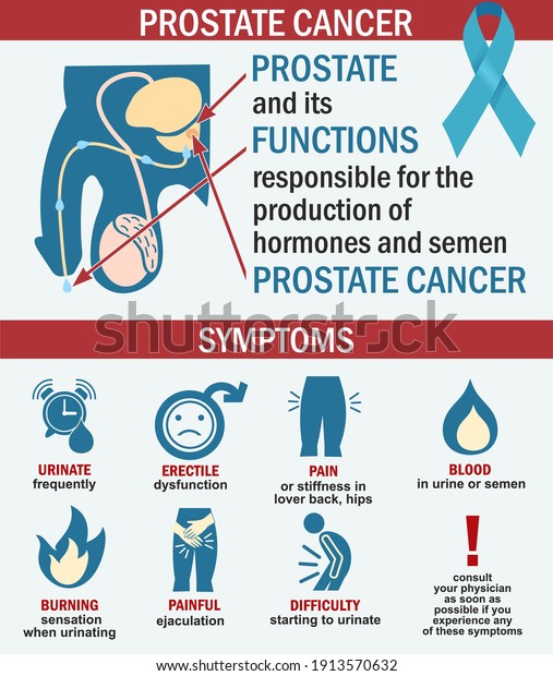 Infographics Prostate Cancer Illustration Symptoms 600w 1913570632 