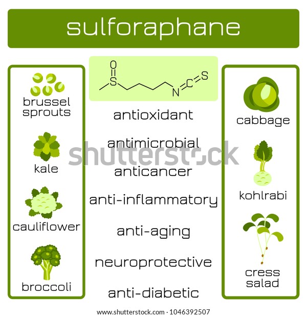 Infographics. Sulforaphane organic compound of\
plant origin with anti-cancer and antibacterial and others effects.\
Products in which it is\
contained
