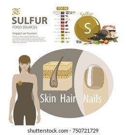 Infographics. Sulfur. Food sources and influence on human health.