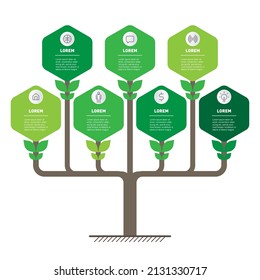 Infographics or tree with 7 options, research in science and Green technology. Development and growth of the eco business. Timeline of trends. Business concept in the form of plants with seven steps.