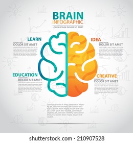 infographics vector brain design