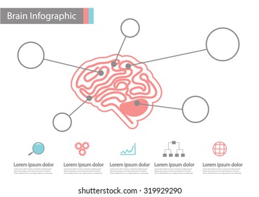 infographics vector brain design