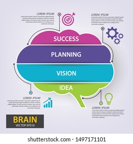 Infographics vector brain design. vector illustration.