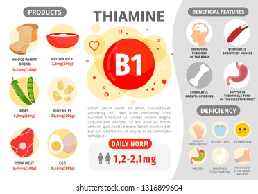 Infographics Vitamin B1. Products containing vitamin. Daily norm. Symptoms of deficiency. Vector medical poster.
