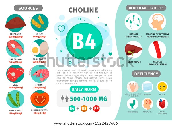 Infographics Vitamin B4 Products Containing Vitamin Stock Vector ...