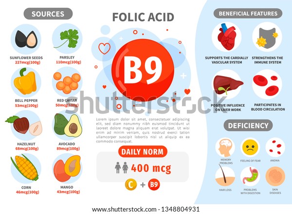 Infographics Vitamin B9 Products Containing Vitamin Stock